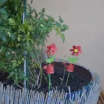 Reverenza Apartment Lixouri
