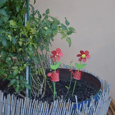 Reverenza Apartament Lixouri