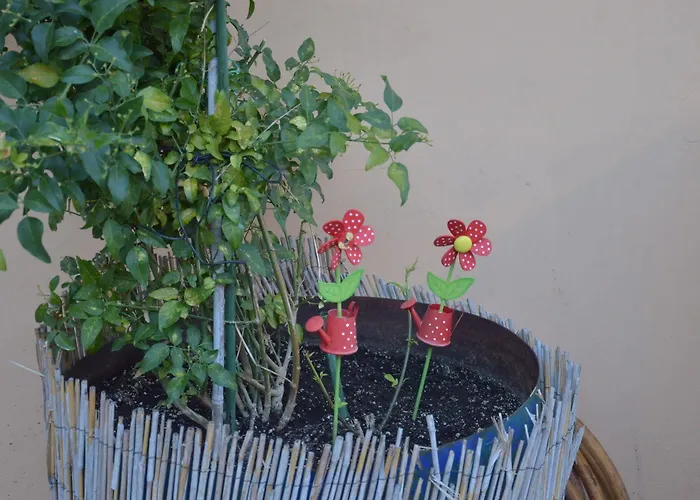 Reverenza Appartamento Lixouri